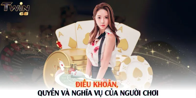 Điều khoản, quyền và nghĩa vụ của người chơi