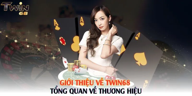 Giới thiệu về Twin68 - Tổng quan về thương hiệu